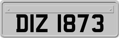 DIZ1873