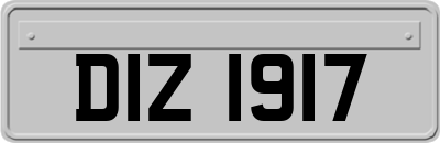 DIZ1917
