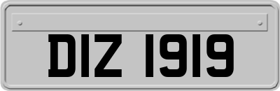 DIZ1919
