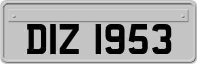 DIZ1953