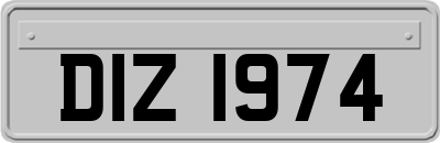 DIZ1974