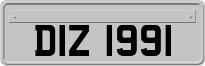 DIZ1991