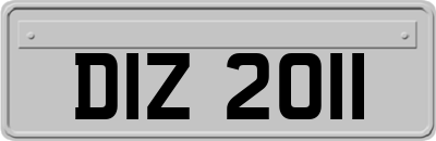 DIZ2011