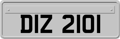 DIZ2101
