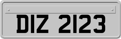 DIZ2123