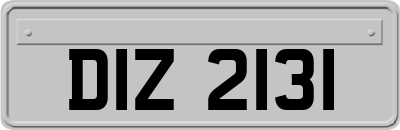 DIZ2131
