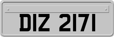 DIZ2171