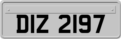 DIZ2197