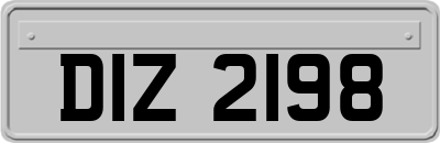 DIZ2198