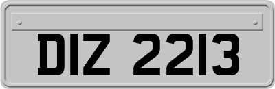 DIZ2213