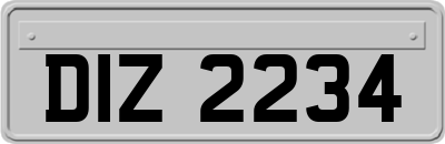 DIZ2234