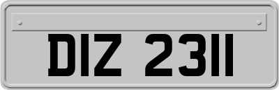 DIZ2311
