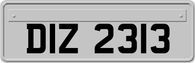 DIZ2313