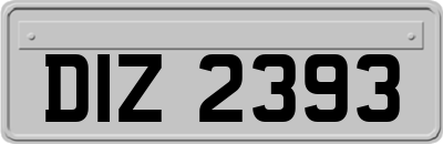 DIZ2393
