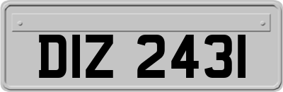 DIZ2431