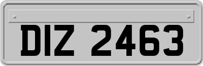 DIZ2463