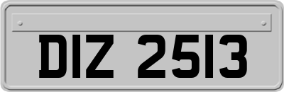 DIZ2513