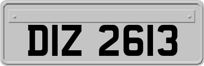 DIZ2613