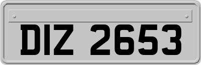 DIZ2653