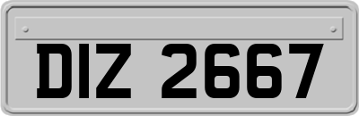 DIZ2667