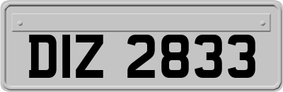 DIZ2833