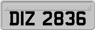 DIZ2836