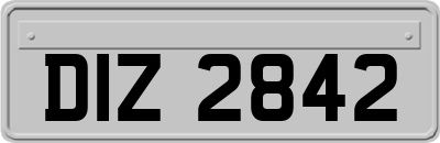 DIZ2842