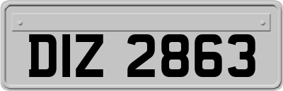 DIZ2863