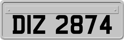 DIZ2874