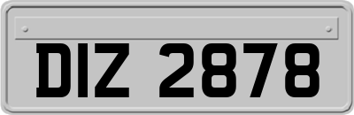 DIZ2878