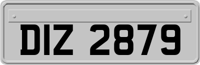 DIZ2879