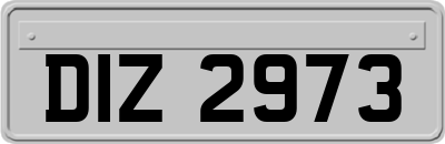 DIZ2973