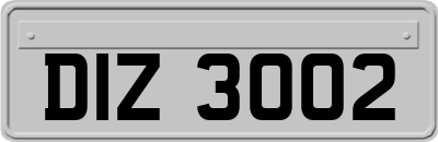 DIZ3002