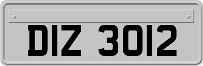 DIZ3012