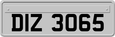 DIZ3065
