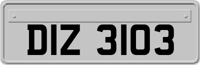DIZ3103