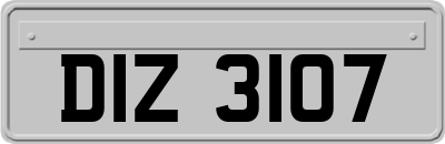 DIZ3107