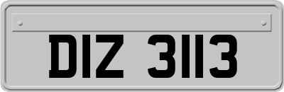DIZ3113