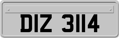 DIZ3114