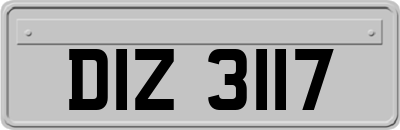 DIZ3117