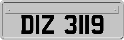 DIZ3119