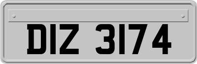DIZ3174