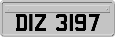 DIZ3197