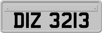 DIZ3213
