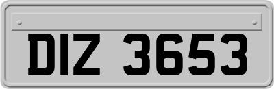DIZ3653