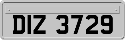 DIZ3729