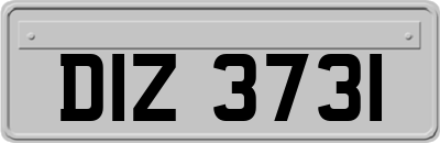 DIZ3731
