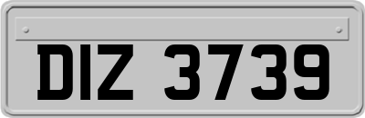 DIZ3739