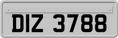 DIZ3788