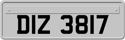 DIZ3817